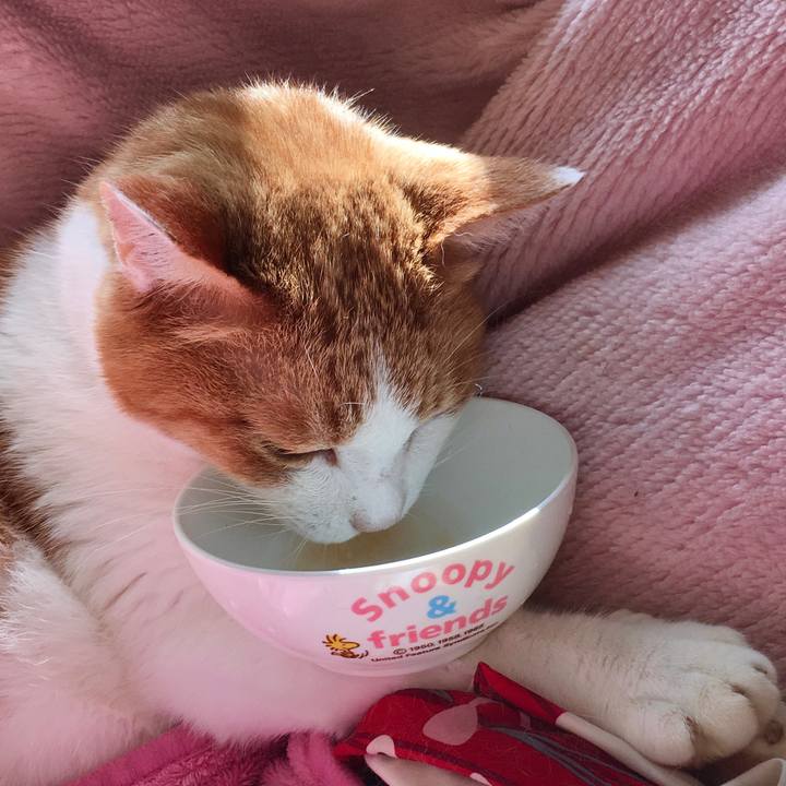 93299bb3 1962 4b83 9bf5 6347894a6c31 1573442033507