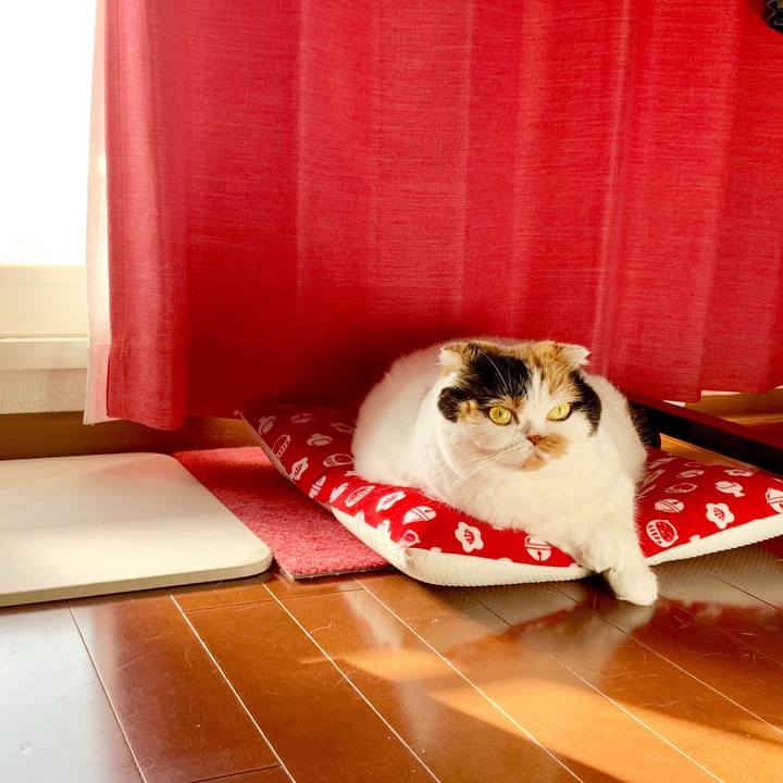 93299ef0 4ec2 4c51 8a7c 9e6607825b26 1566340786630