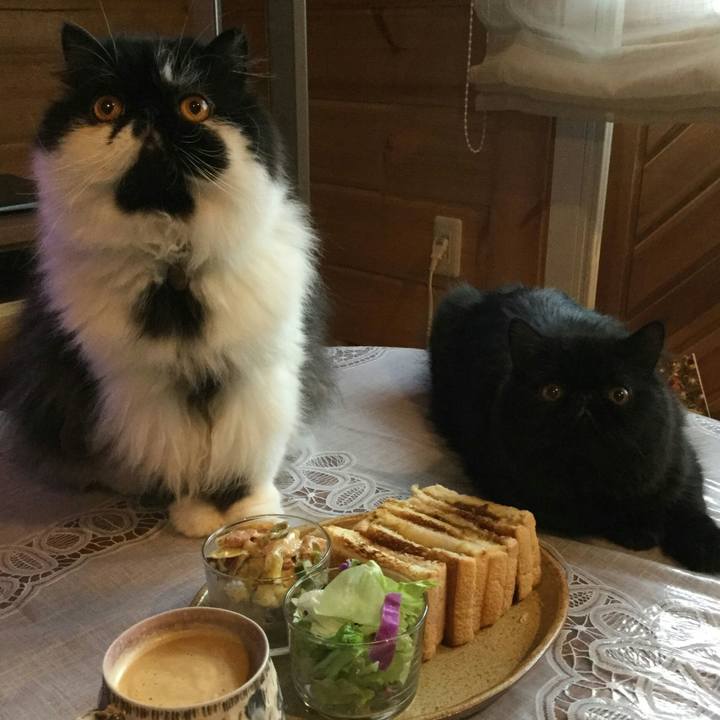 9329a37d c34c 477c 975d dc342b32ac0b 1510360771545