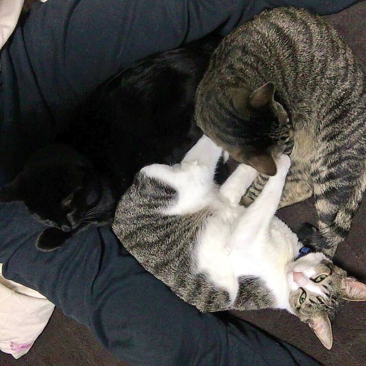 9329a9af 9495 45af bad6 8107218a086d 1512566125685