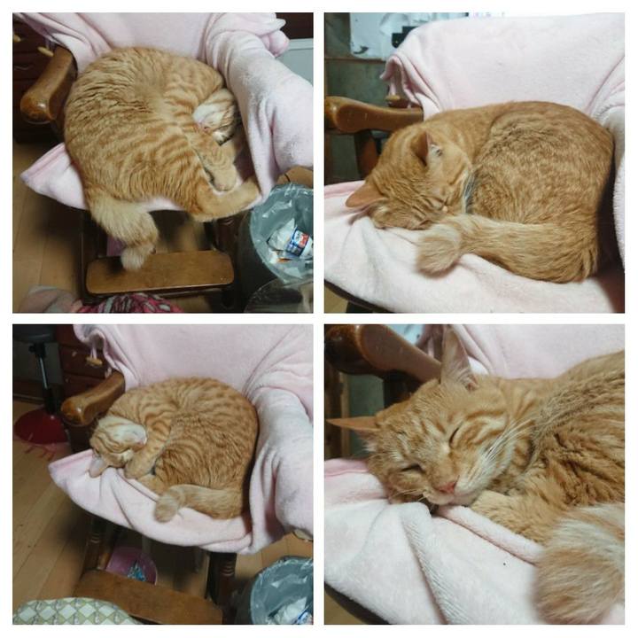 9329b9fd 1a0b 47c3 8c6f 56e2b92dea82 1651840414916