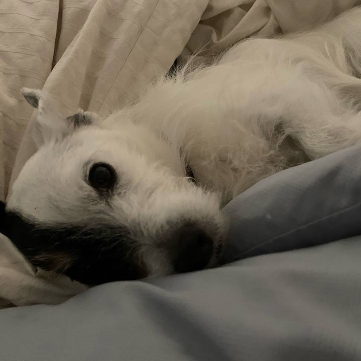 932a1bf6 8f3a 49e8 8be7 5be535636b91 1748875267046