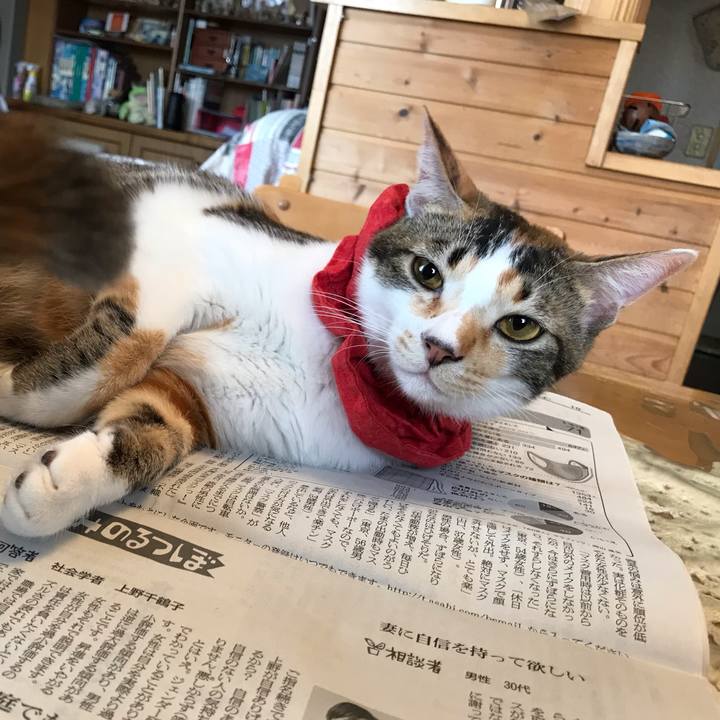 932a28ba 2489 40ed b711 8865ce55d970 1624052912469