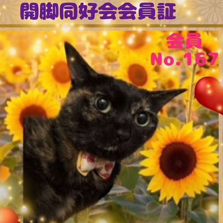 932a353d c470 4f78 9fb9 d7d68c520cf0 1760151338511