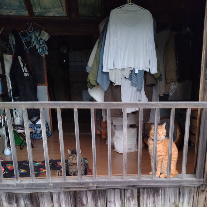 932a3cd6 c083 48db 808b f25711ef6e00 1664003199313