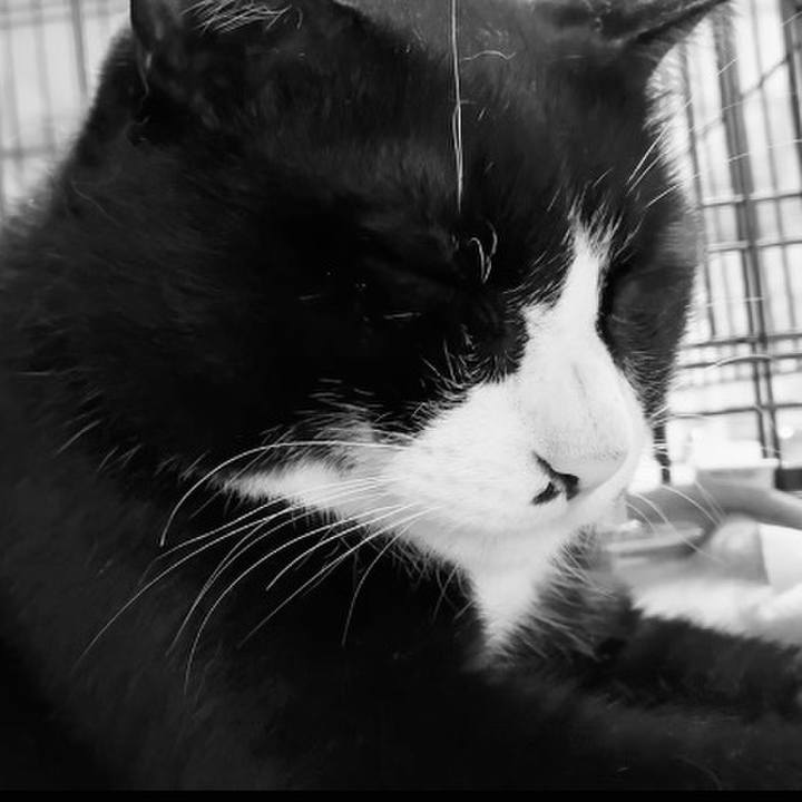 932a4ffe ba2a 4012 a94c 52d5a2f367d0 1751449802153