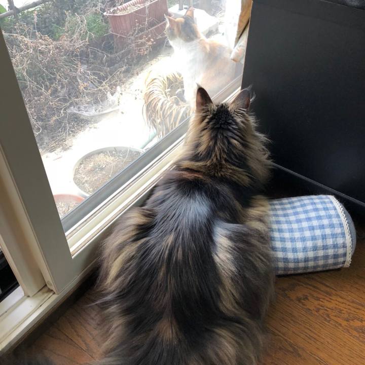 932a5ad0 266b 4c39 9e9c af42464f6127 1523605157824