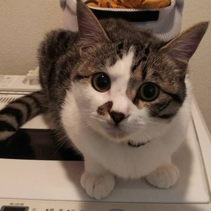 932a5d0f 34da 4996 b24e d36f050ff8c4 1618621535651