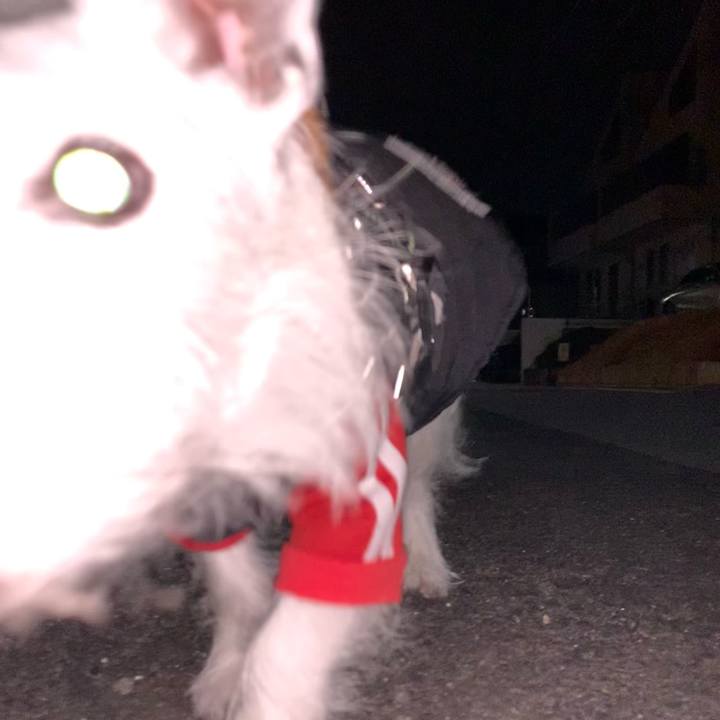 932a6849 22a8 4a51 a409 349aa1197410 1738372495937