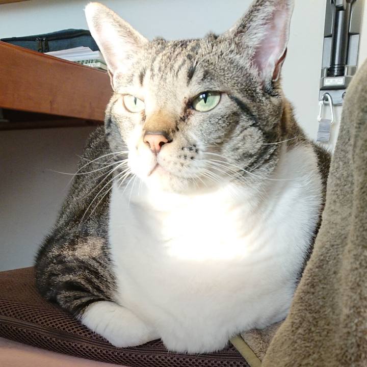 932a6ed0 040b 491e a6ab 42837ef984c9 1576108461703