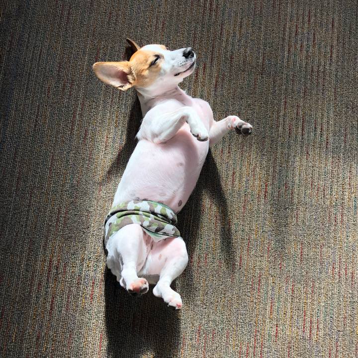 932a7076 f835 44aa 88f4 f4536973b848 1571529036562