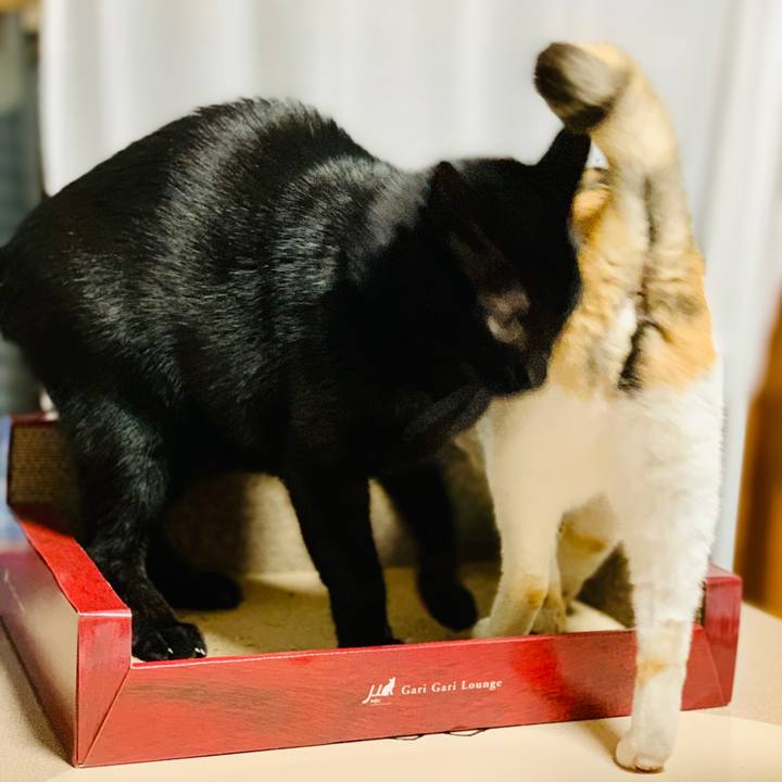 932a71bd 9c17 4d02 a2e2 7c994f3ee625 1606097356257