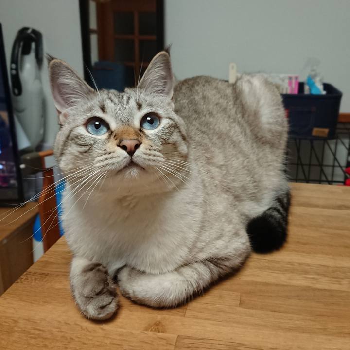 932afe50 43a2 4364 8601 8fe979317ca4 1570098269939