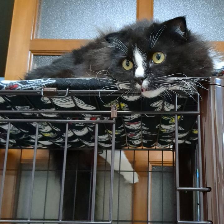 932b1489 c2fe 45f7 8f93 e16523ec7696 1669120439804