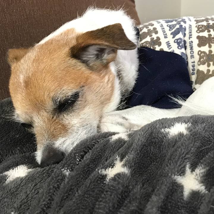 932b5538 0b08 45b0 9e93 6a12ca1cd3c6 1585468831783