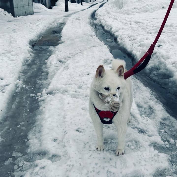 932b6b5d bccf 4b7e 9893 fb0839e7ae3e 1710714342266