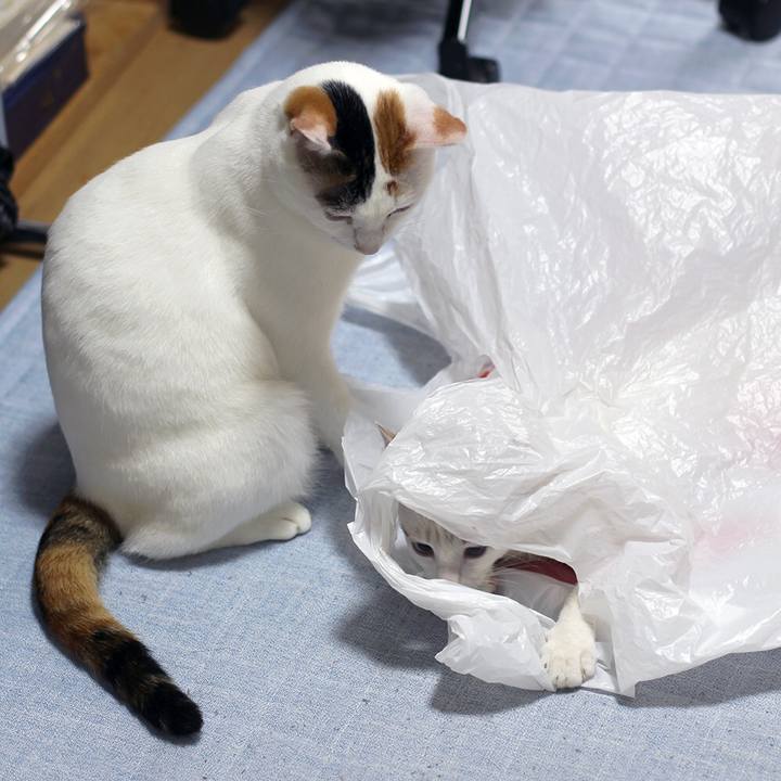 932b7281 f9bc 4853 a772 70b1b8910f15 1601423569126