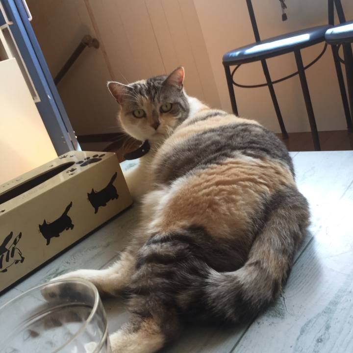 932b79ce 715e 45e4 bfa8 e25c765f6aae 1554522125221