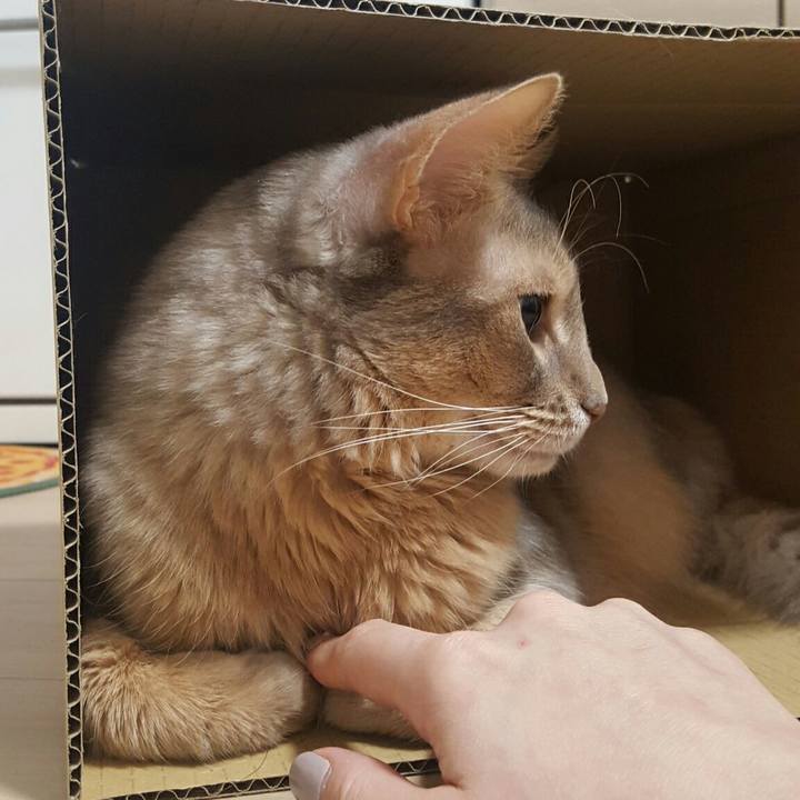 932b8703 83ab 4bfe b854 6135069962db 1547126548109