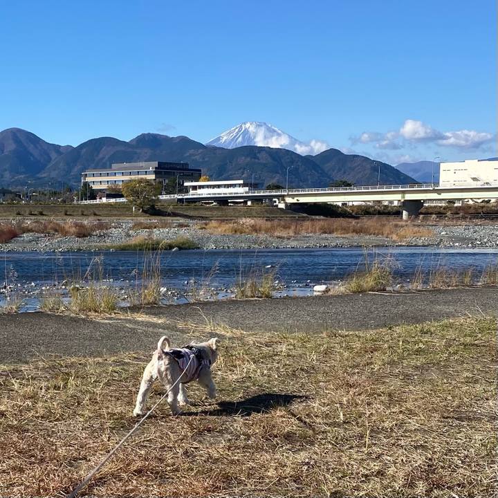 932b88bb 4d75 452f ad9a f60fba285338 1701581691379