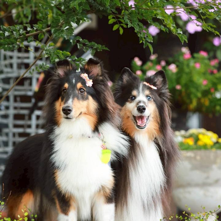 932b9875 8fbe 4b71 9ef6 dd7209443946 1763687887564