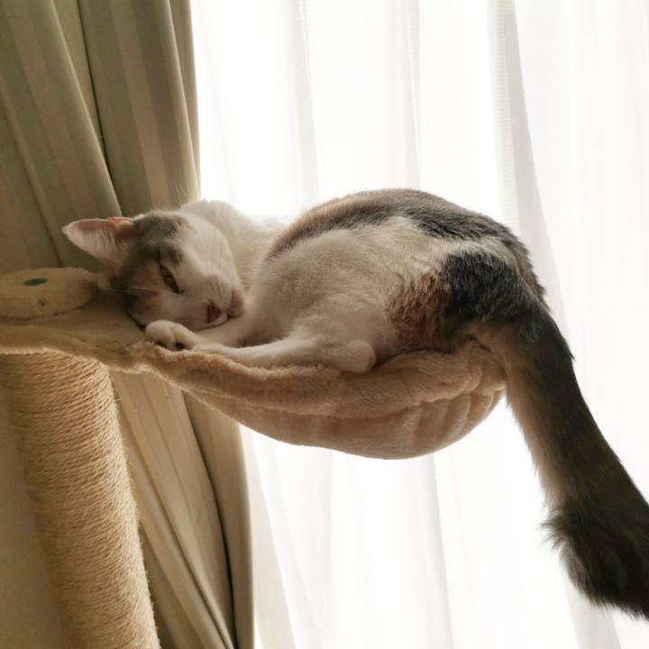 932bb33b a33f 4ed8 b7e1 579cc420f105 1620634909434