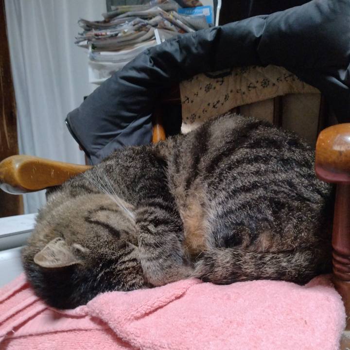 932bc0c9 5f5c 4157 97c8 a85a1c02c5c3 1702335461014