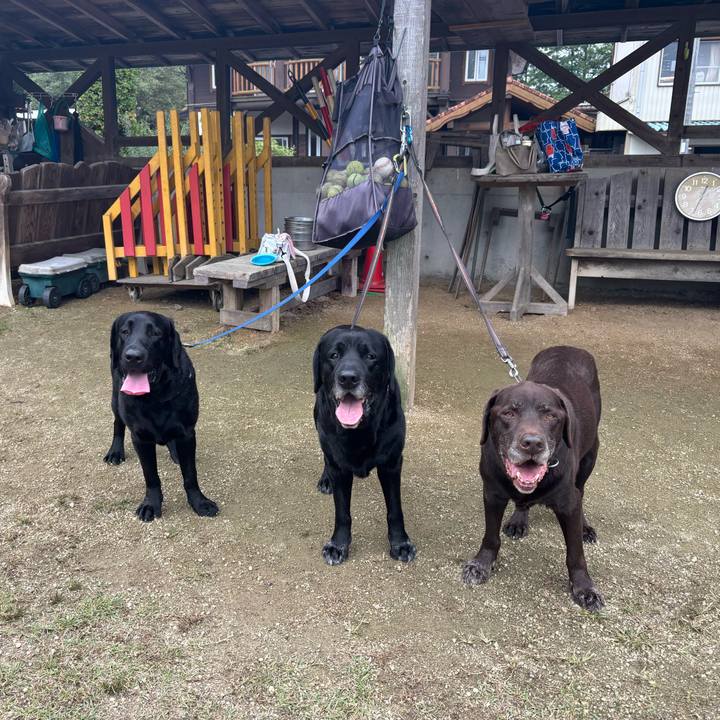 932c9911 fa9d 4092 9bc5 43c7a7bb1290 1761462721769