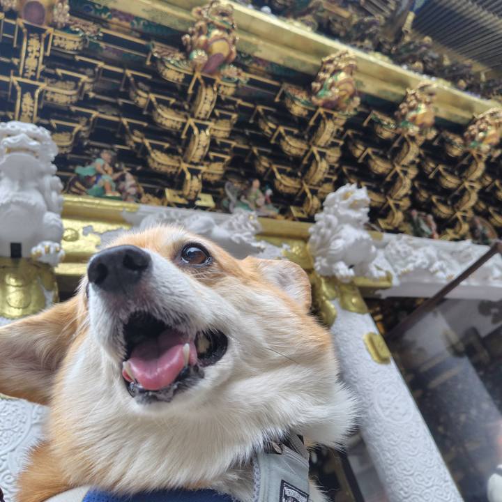 932cb2e8 4406 488e b42e 787bbd1ef8b6 1764076066858