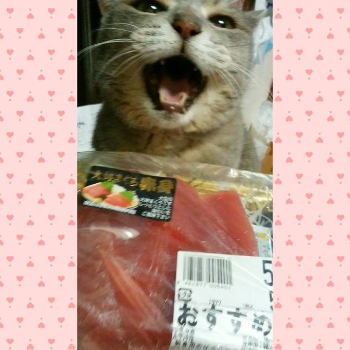 932cd7d4 2dd0 425d b2de 3721fd2d7a2a 1598003717966