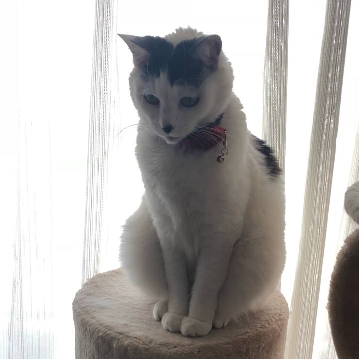 932d2589 266b 49a7 b7c1 859856243257 1523315955598