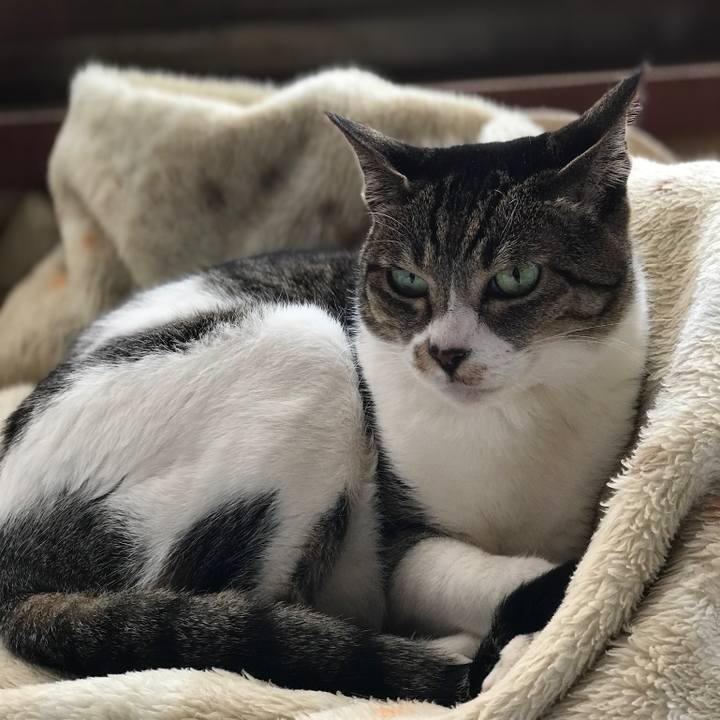 932d3ad4 9c6b 4783 8898 8f3f32cd31b7 1526607131881