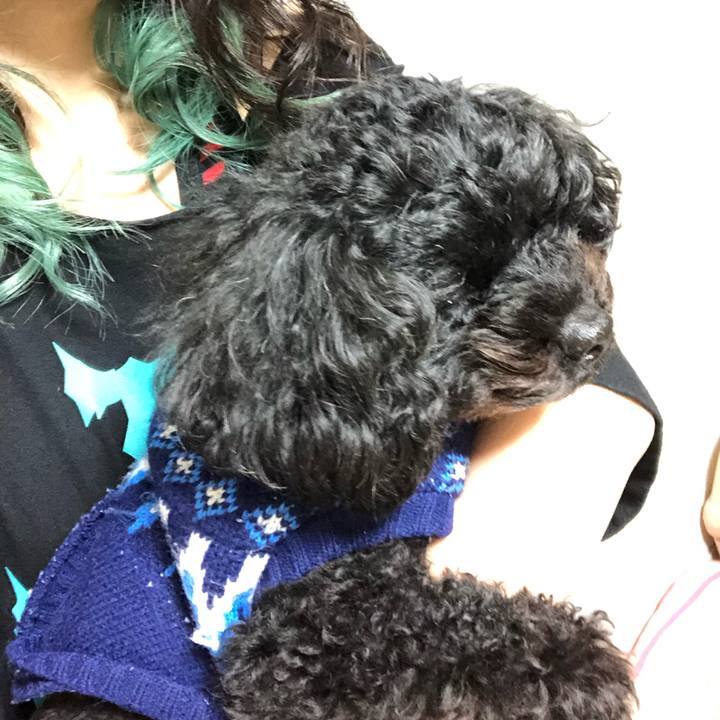 932d6883 cacf 4a5a 95e1 03ded564ec2c 1586003139374