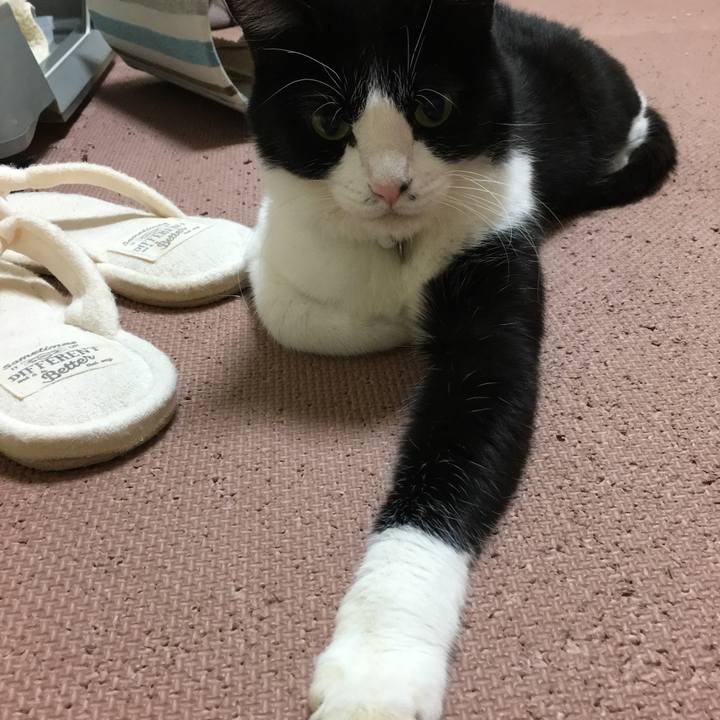 932d8ea2 3834 441c 951e 4f2755964c71 1508162287024