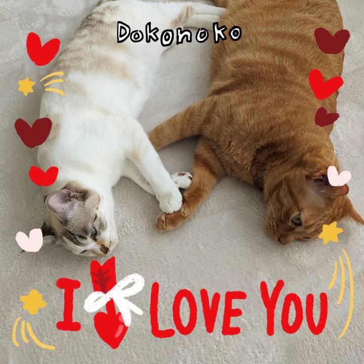 932df27c 1ee0 465e 90d8 8069af0d23fb 1706783532675