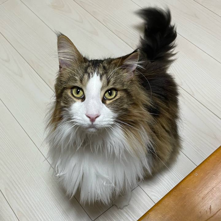 932e4193 0fc6 4d8c 9d7f 4543b5ac276f 1676106300519