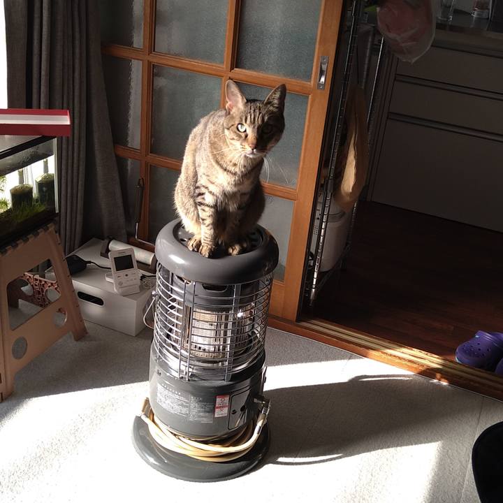 932e63db 5cde 44a8 a23d c1d34c9ed3a4 1635917434089