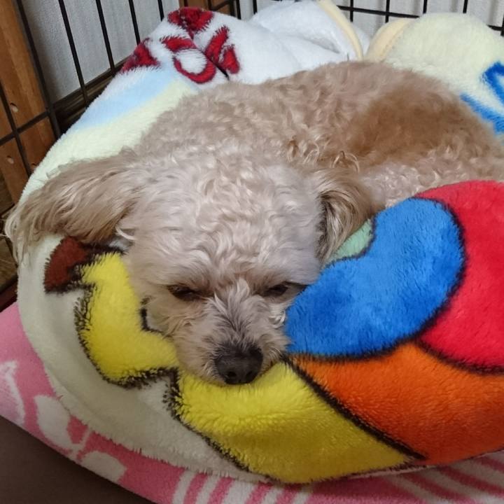 932e77a8 f239 4e4c b9dd fdd28b9ed528 1519475592109