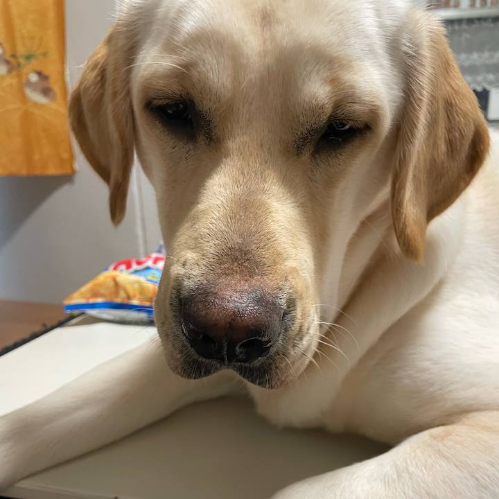 932e874b a080 4286 b24a d7d87b43f69f 1650460946664