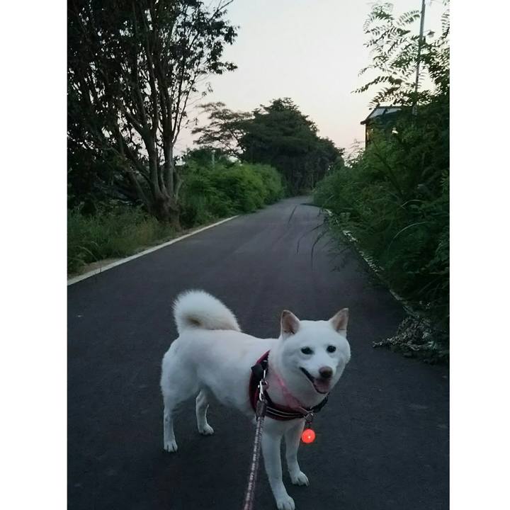 932ec662 dd3c 4581 be47 709428fd991e 1531910502343