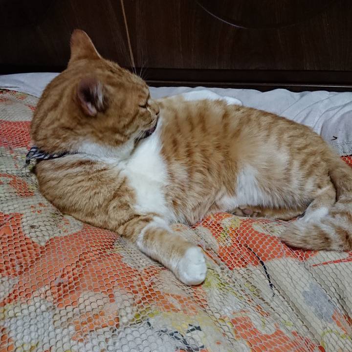 932edf73 09b6 49d2 a753 4ecc5c16fa29 1574688638835