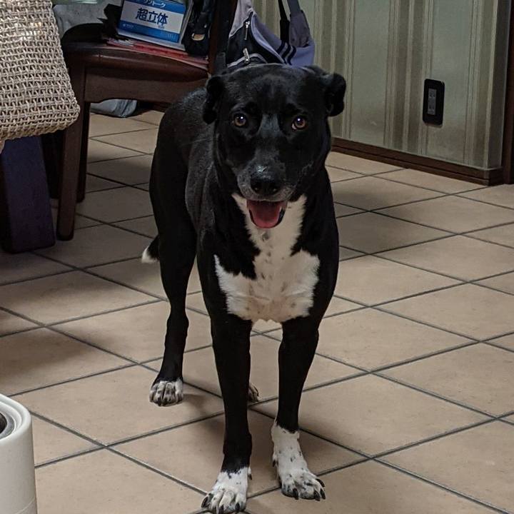 932f013c 86c7 4106 8442 d630ec34f789 1629990236910