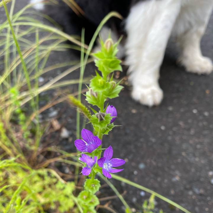 932f1802 b1c0 4686 8b3d 0a48f7e7f71e 1620870772874