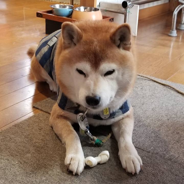 932f2892 e4b2 4371 b061 eee9253e6603 1670544189565