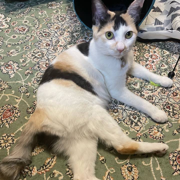 932f3a76 d8d1 4a36 b04d 1a5166a2a3a0 1682422942335