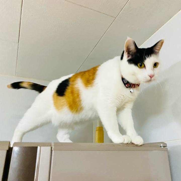 932f4243 53cd 485c b353 099a54dd646e 1674912928864