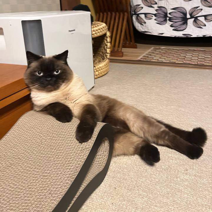 932fc330 2b41 41a3 a51e 900b4dcda7b1 1652700212096