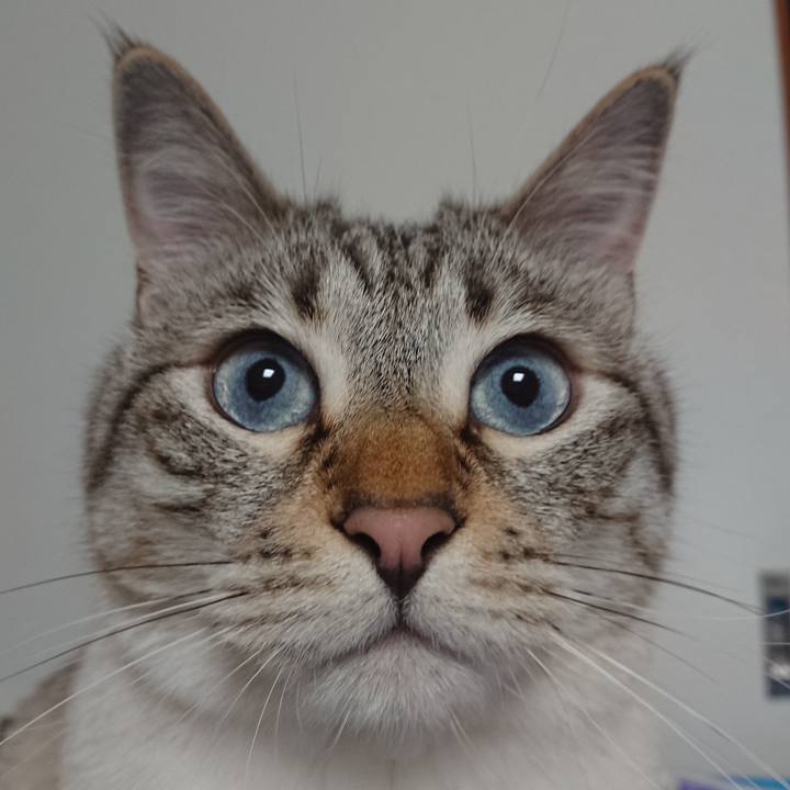 932fc3da b17e 421e 8260 0670d8344467 1560163961950