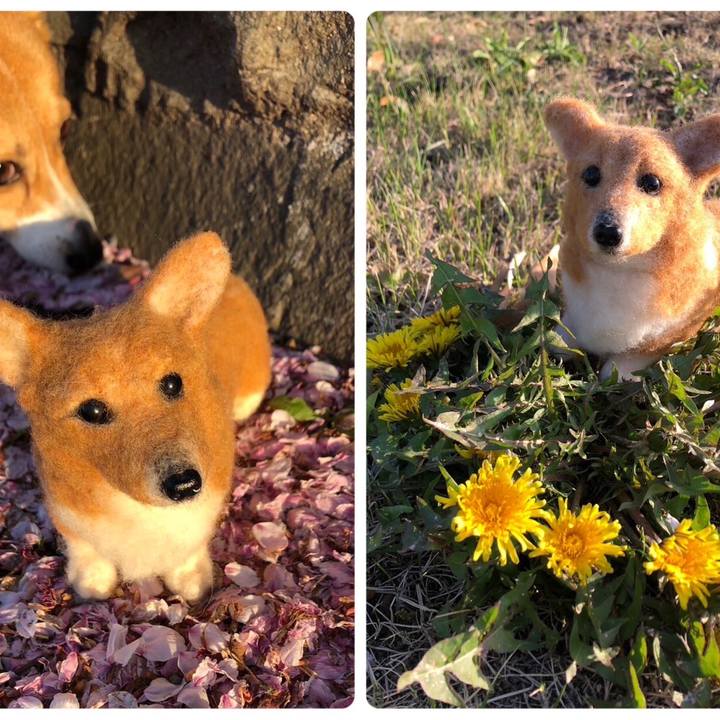 932fd0df b2db 4f37 b43c b950559879eb 1681201220127