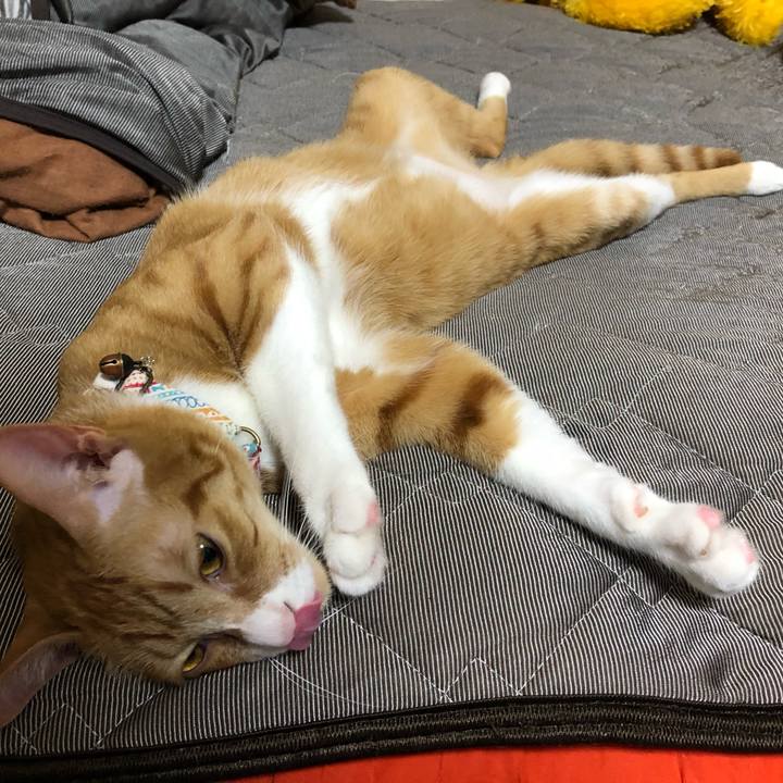 932fe869 8cbd 4e20 aa8e fed6dafe9c9b 1564640342108